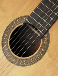 PLAY WILLIE NELSON - For Guitar & Ukulele