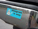 Bluegrass is Sexy Sticker