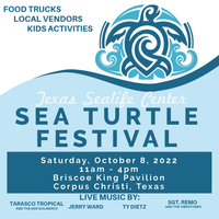 Sea Turtle Festival 