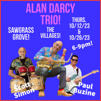 The Alan Darcy Trio in Concert at Sawgrass Grove in The Villages! 