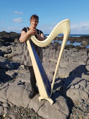 Sea Strings at Boulder Beach 3 Photo - Scott Rawstorne©
