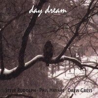 The Daydream Trio: Drew Gress, Phil Haynes, Steve Rudolph