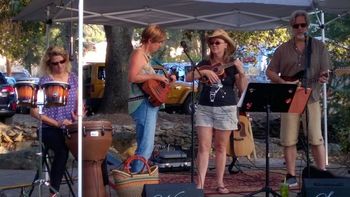 Pickleband2015
