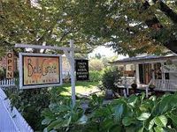 ACART Benefit Concert at Bella Grace Wine Room in Sutter Creek