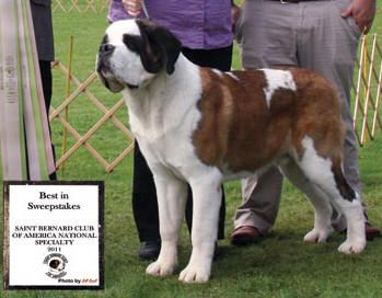 GCH Alpine Mtn Romulus
