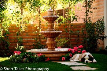 Barney resting by his fountain
