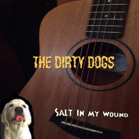 Salt In My Wound by The Dirty Dogs