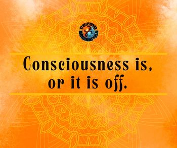 Consciousness is, or it is off.
- Cozmo Beregofsky
