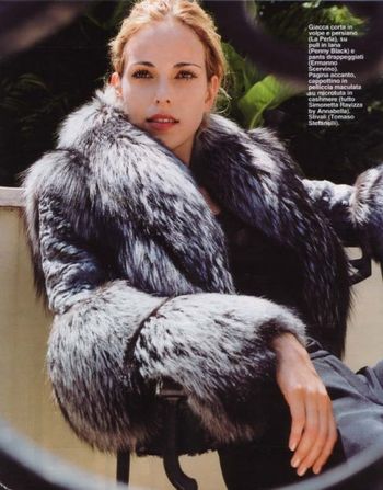 chi2_fur_look
