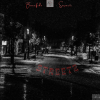 Streetz by Bonafide Suspects