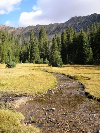 Creek_in_Meadow
