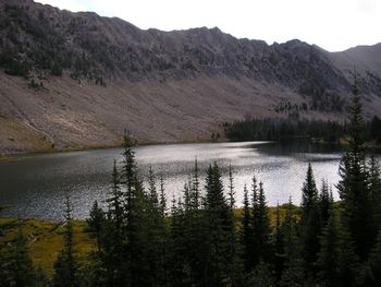 Washington_LAke
