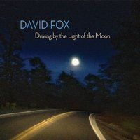 Driving by the Light of the Moon by David Fox