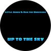 Little Jonny & Dan the Underdog - Up To The Sky: CD