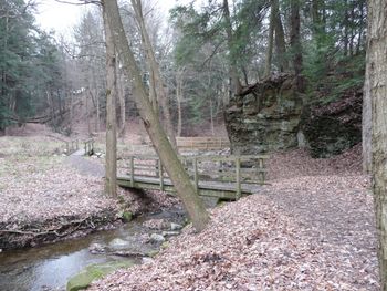 Falls_Run_Park
