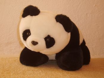 China - panda
