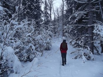 Honey on Gold Rush Pioneer Trail!
