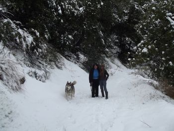 Nanci, Sheba & Honey!!
