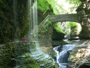 Honey in Watkins Glen New York
