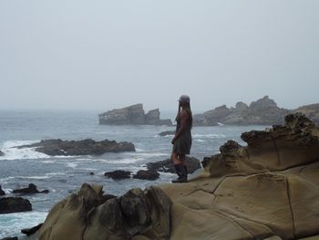 Honey on The California Northern Coast
