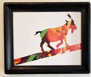 Orange Goat. From a photo by Ken Conway. Calendar clippings and non-toxic glue on cardboard in black frame. 2019. SOLD
