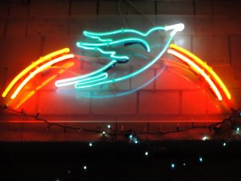 The neon sign inside the Bluebird
