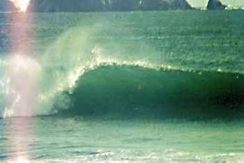 according to Tui who took the photo.....Whananaki 8ft+ and pumping!! How awesome would that place be at 8ft!!......Whananaki..a 40 minute drive from Whangarei....
