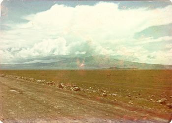 Ngorongoro Crater
