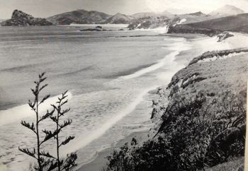 Horahora 1949 Totally barren coastline...and very isolated....east coast Northland...off Whangarei....but also home to an awesome wave....
