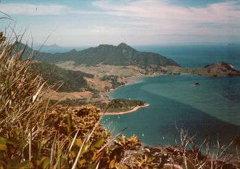 Whangarei Heads
