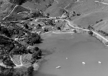 South side of Taurikura...1963
