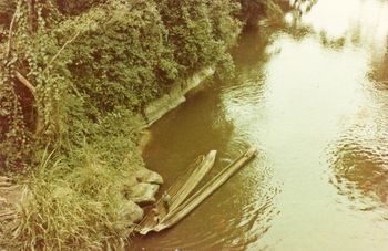 20ft dugout canoe
