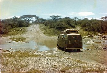 Travelling by ourselves again now...driving thru the Serengeti Mt Kilimanjaro off to our left..we got close up to nearly every wild animal you could think of..in fact there were Leopard tracks all around the van one morning...i also sat on the roof while Paula drove..and took a few close-up photos!.nearly out of film
