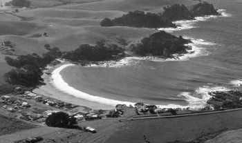 Coastal areas near McGregor's Bay, Taiharuru, near Whangarei Heads, Northland Region 1983
