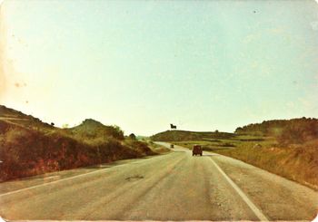 Aussie surfer John....big cows in Spain
