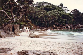 beautiful Ding Bay, Northland 2018
