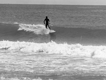 great shot of Dick Robinson at Sandy Bay..on a 'left slide'...summer of '66 We often surfed Sandy Bay a lot around that period....Sandy Bay had something special about it, even though the waves could be very fickle....it was kind-of 'our beach' (the Northland crew) if you like!!!

