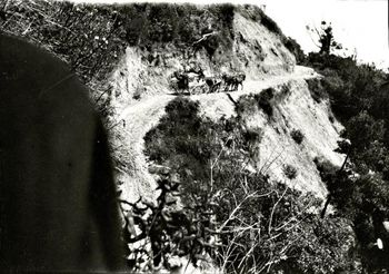 called the 'Good-bye Corner' ...Ngunguru road 1919
