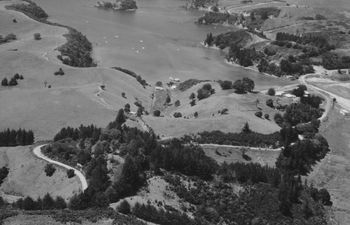 Tutukaka close-up 1966
