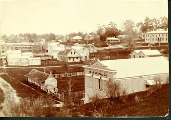 Tauranga 1899
