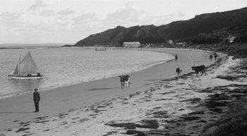 Rangiputa Beach...north of Mongonui, in the Rangaunu Harbour...1910
