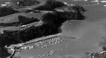 Tutukaka close up 1982
