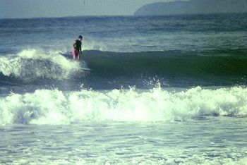 nice lookin' wall....Waipu autumn of '65...Tui in the sweet spot..
