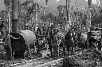 bush railway to get logs out ...somewhere up around the Mangamukas...1920 wooden rails....
