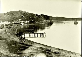 Russell 1864... Looking south...Mill Island to the right..Pompallier house (center)..
