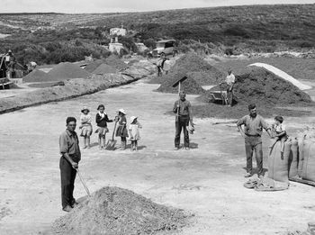 Collecting Kauri gum up near the top of the Ahipara sandhills 1927
