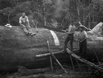 on the way to Oakura...1913
