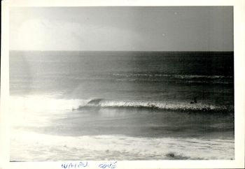 Legs really loved that left hand bank at Waipu....
