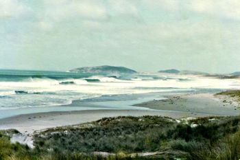 Doug finds a sweet little (big) swell at Hendersons Bay....around late 70's Awesome looking banks but pretty hard to get out i expect......Henderson Bay ..east coast ..opposite side of 90mile beach....
