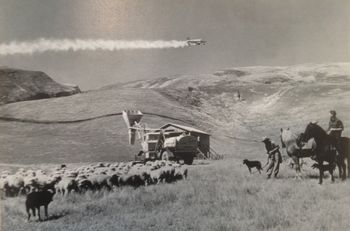 1958 Topdressing....In the late 50's and early 60's...  farm topdressing became a huge industry and one of our surfing hero's of that time was Tui Wordley who was often seen driving around in a topdressing truck..and dragging people off up Cameron st (Whangarei) in his truck .so legend goes
